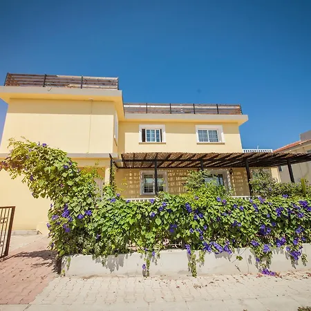 Daria * 키레니아